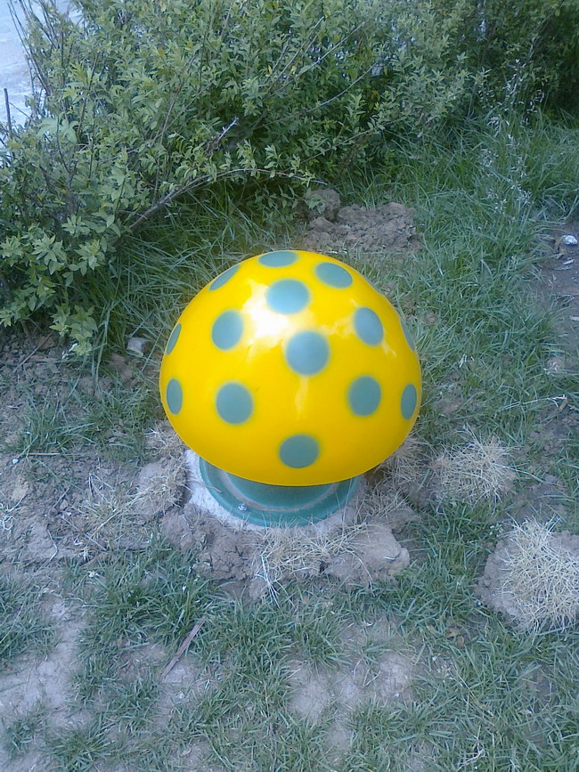 公共廣播及背景音樂系統