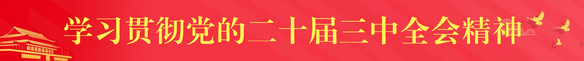 十九屆六中全會(huì )