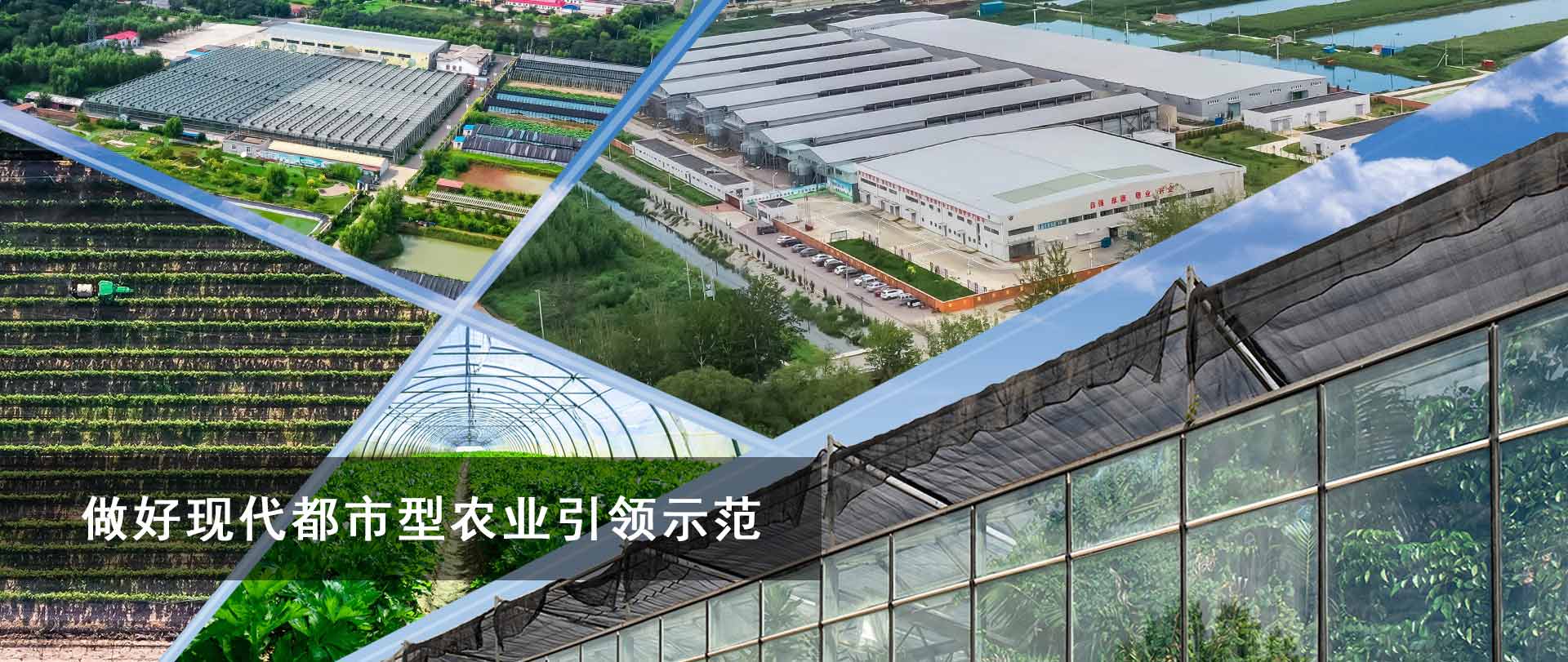 做好現代都市型農業(yè)示范引領(lǐng)